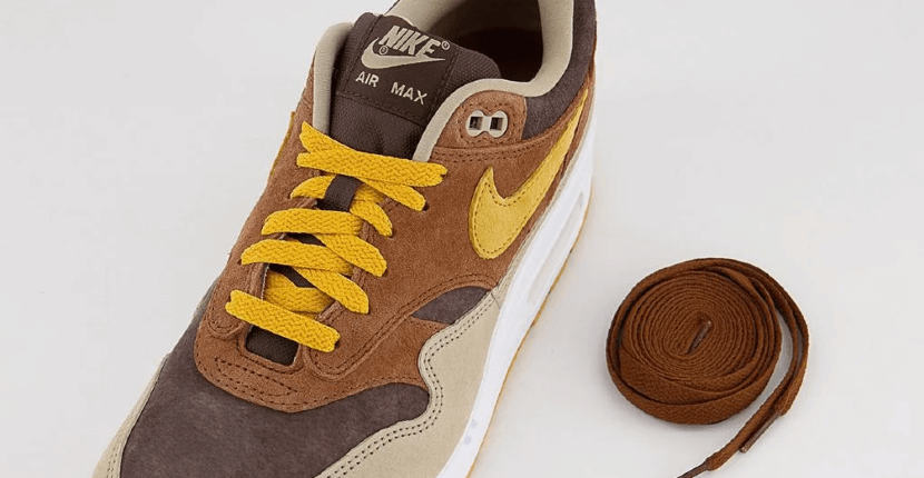 Nike Air Max 1 Ugly Duckling Pack