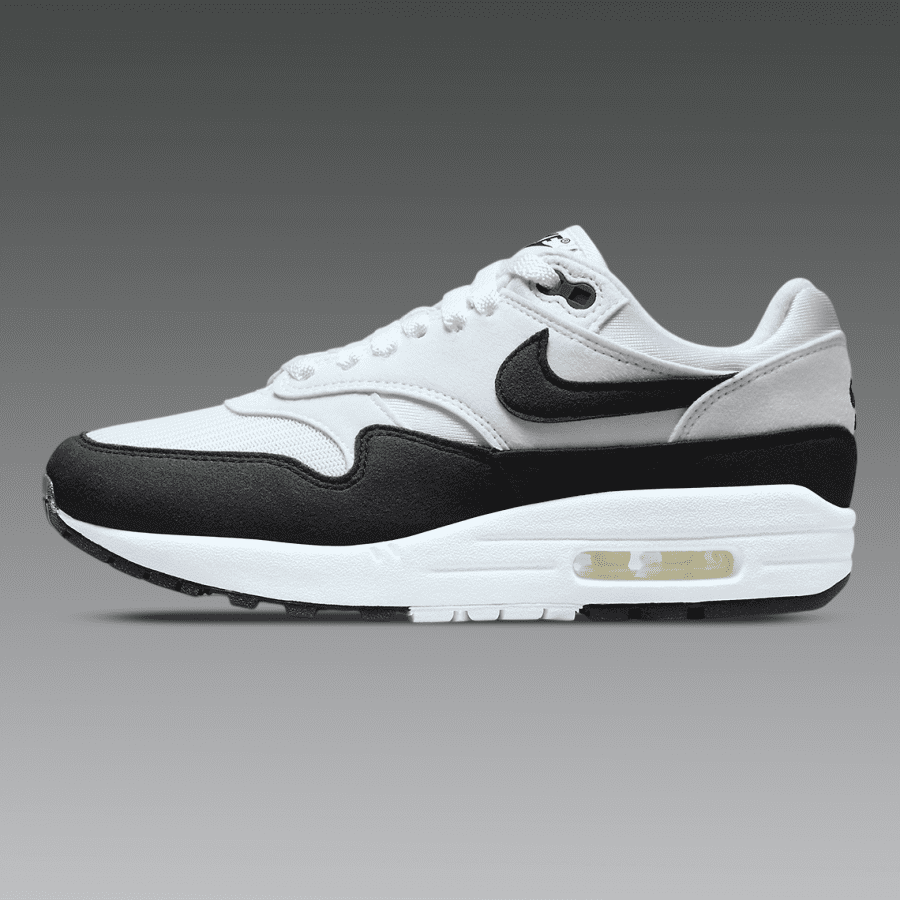 The Nike Air Max 1 