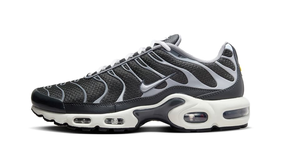 Nike Air Max Plus Greyscale Cool Grey DZ2655-001 - Captain Creps