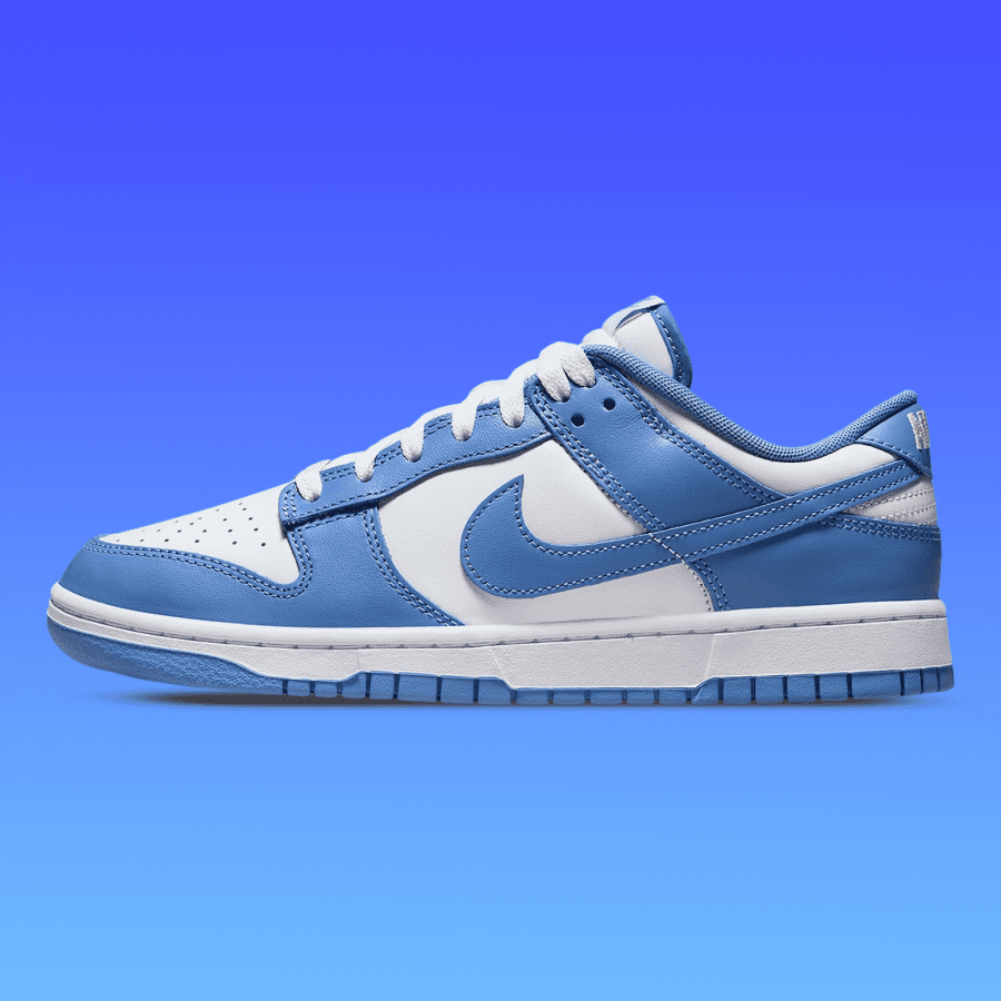 The Nike Dunk Low 