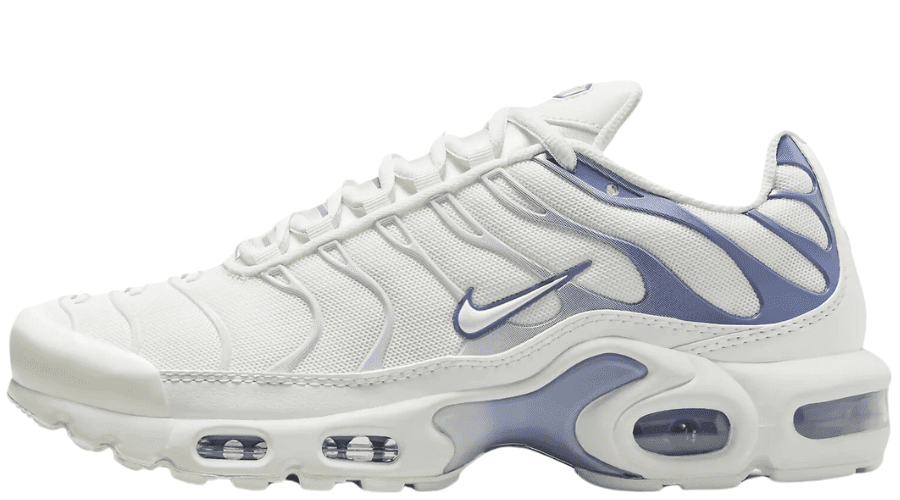 Nike Air Max Plus Ashen Slate DZ3671-104