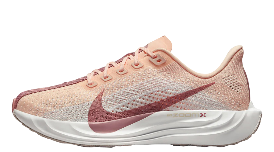 WMNS Nike Pegasus Plus 