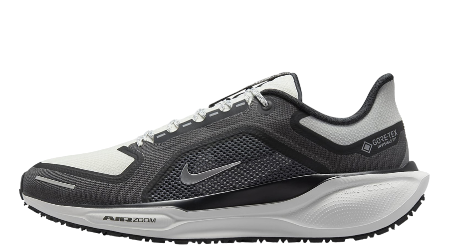 Nike Air Zoom Pegasus 41 GORE-TEX 