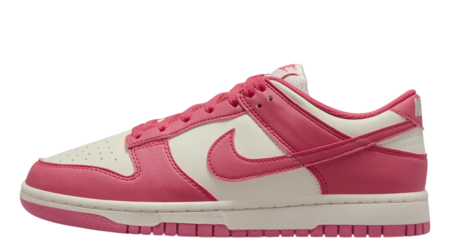 WMNS Nike Dunk Low Next Nature 