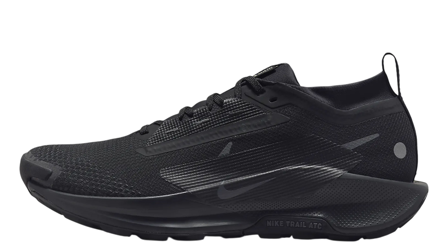 Nike Pegasus Trail 5 GORE TEX 