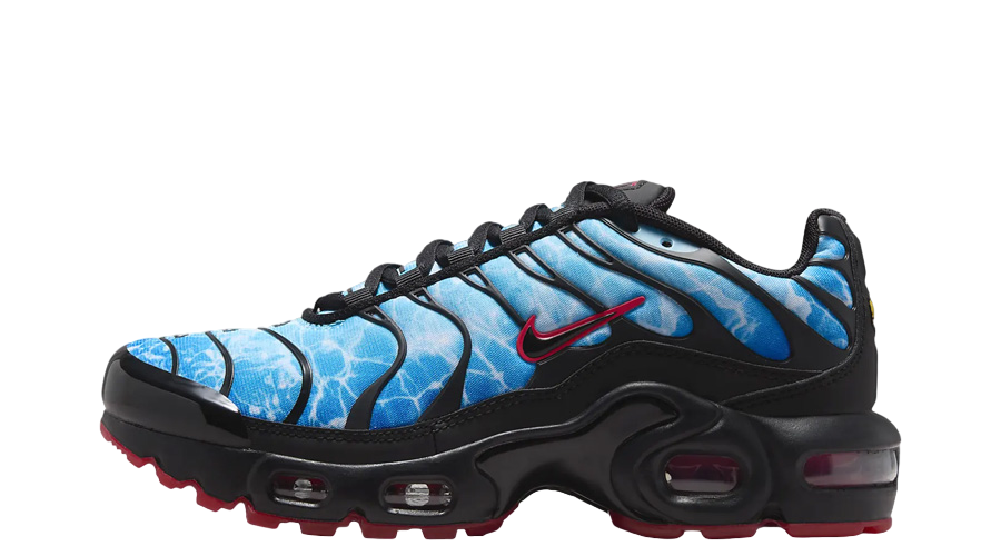 Nike Air Max Plus GS 