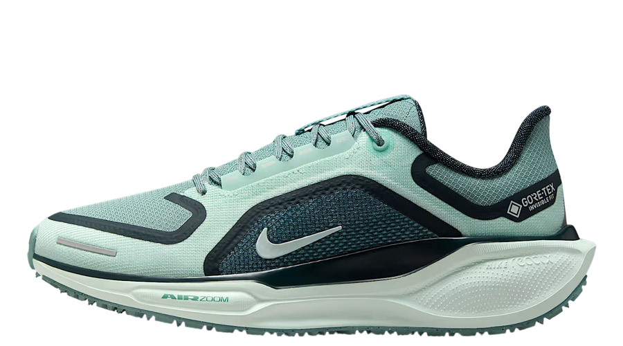 WMNS Nike Pegasus 41 GORE-TEX 