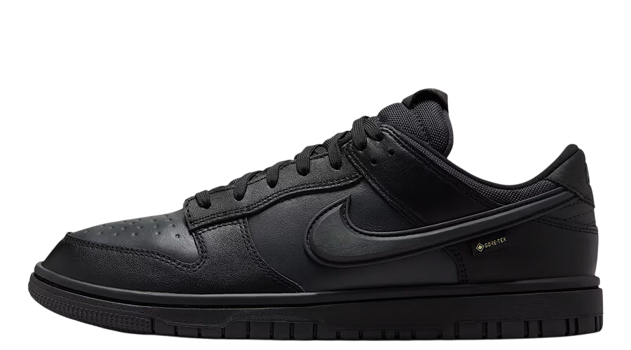 Nike Dunk Low GORE-TEX 