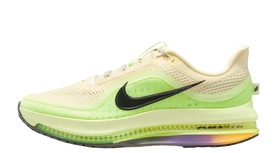 Nike Pegasus Premium 