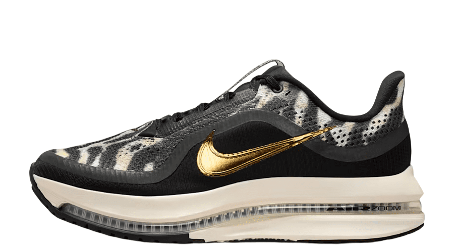 WMNS Nike Pegasus Premium 