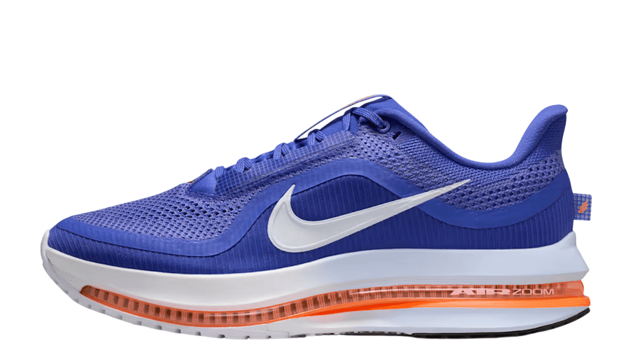 Nike Pegasus Premium 