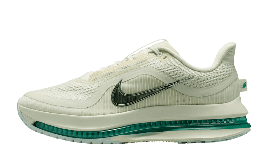 WMNS Nike Pegasus Premium 