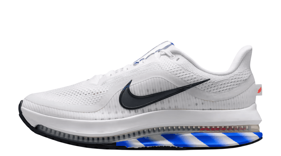 Nike Pegasus Premium CM 