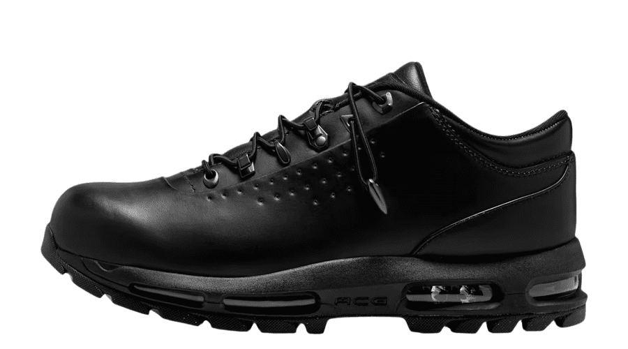 Nike Air Max Goadome Low 