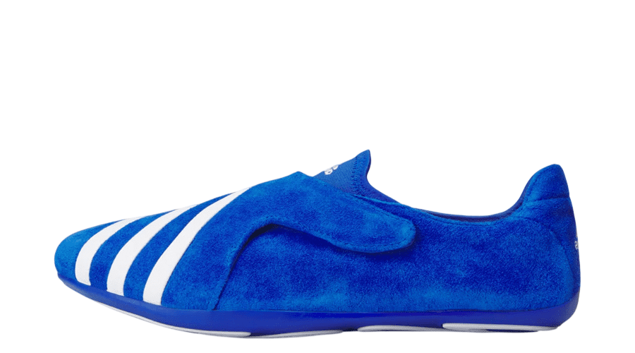 Pharrell x adidas Vario Flat Earther 