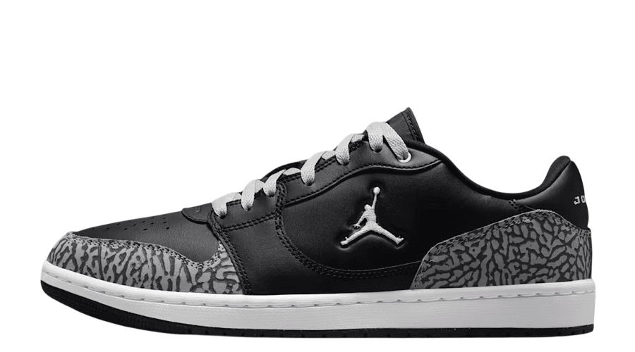 Air Jordan Court Connect Low SE 