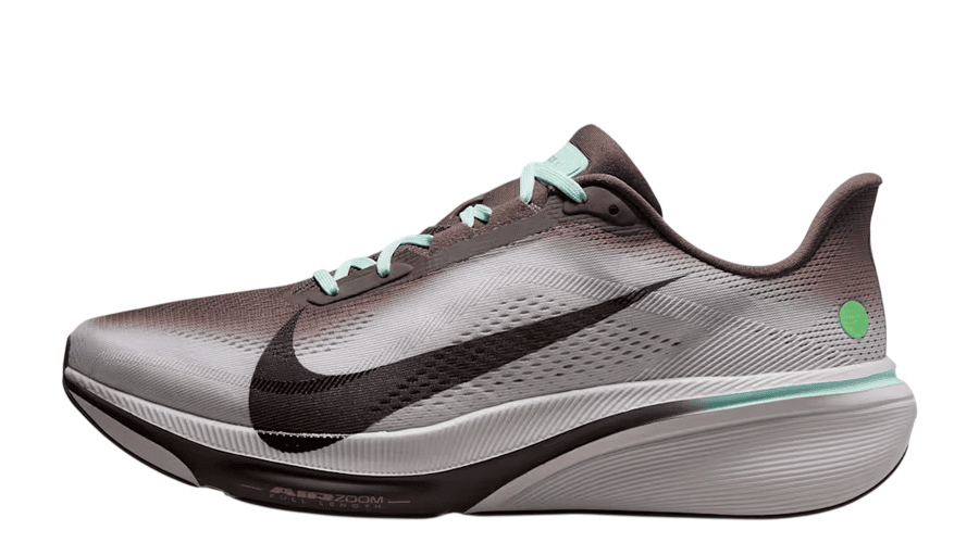 Nike Pegasus 42 