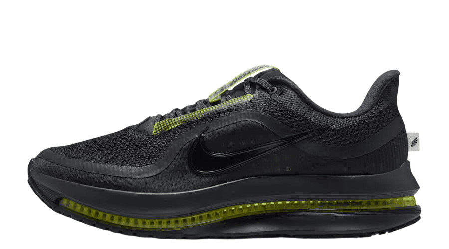 Nike Pegasus Premium Road 